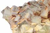 Purple Edge Fluorite Crystal Cluster - Qinglong Mine, China #205259-1